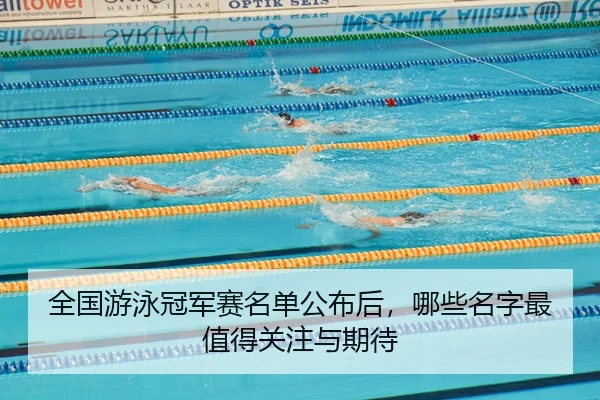 全国游泳冠军赛名单公布后，哪些名字最值得关注与期待